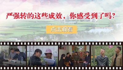 严强转的这些成效，你感受到了吗？
