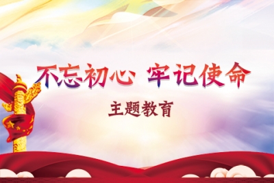 中央“不忘初心、牢记使命”主题教育领导小组对开展专项整治作出部署安排