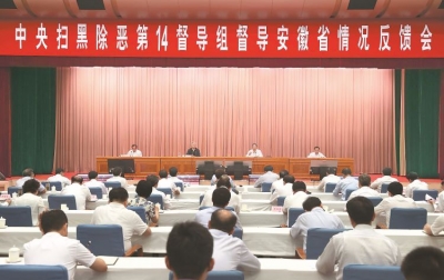 安庆：立案查处涉黑涉恶腐败和充当“保护伞”案件121件166人