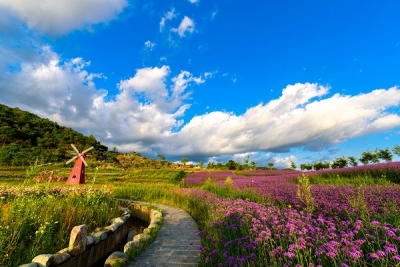 镜头 | 大美六月 夏至阴生景渐催