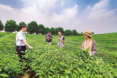 安徽：把严管和厚爱、激励和约束结合起来