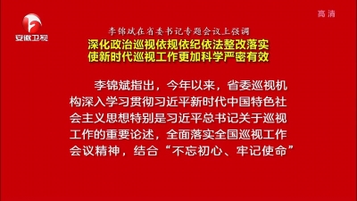 【视频】李锦斌强调 深化政治巡视依规依纪依法整改落实 使新时代巡视工作更加科学严密有效