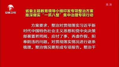 【视频】省委主题教育领导小组印发专项整治方案 推深做实“一抓八整”集中治理专项行动