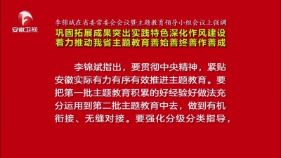 【视频】李锦斌在省委常委会会议暨主题教育领导小组会议上强调：巩固拓展成果突出实践特色深化作风建设 着力推动我省主题教育善始善终善作善成