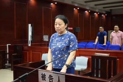 合肥巢湖经济开发区管委会原主任王爱华二审维持原判