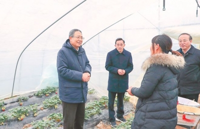李锦斌深入定远县开展调研