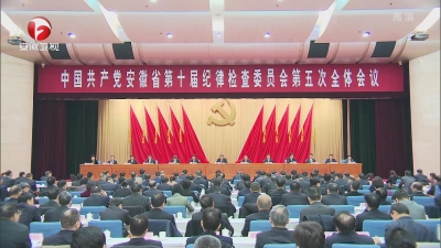 【视频】李锦斌在省纪委十届五次全会上强调 一以贯之坚定不移纵深推进全面从严治党 为决胜全面建成小康社会提供坚强保障