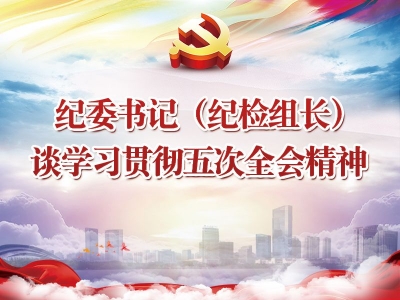 认真学习领会全会精神 强化政治监督 做实日常监督  维护审计机关风清气正的良好政治生态——纪委书记（纪检组长）谈学习贯彻五次全会精神