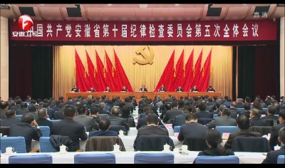 【视频】中国共产党安徽省第十届纪律检查委员会第五次全体会议决议