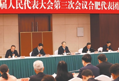 李锦斌参加合肥代表团审议
