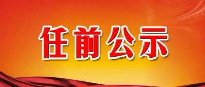 干部任前公示公告（2020年2月15日）