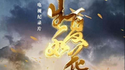 今晚10点安徽卫视将播出纪录片《生如夏花》