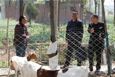镜头｜做实做细日常监督 增强派驻监督质效