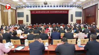 十三届全国人大三次会议安徽代表团举行全体会议