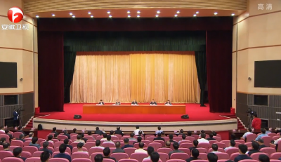 李锦斌：抢抓机遇登高望远拉升标杆聚力打造"五高地一示范"  在现代化五大发展美好安徽建设上干在实处走在前列