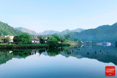 镜头 | 立夏时节 万物繁茂