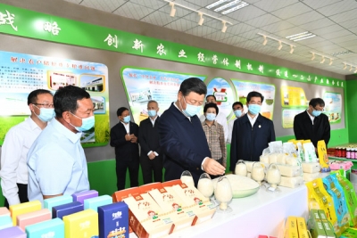 习近平在银川考察调研