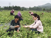 镜头｜精准监督为基层减负增效