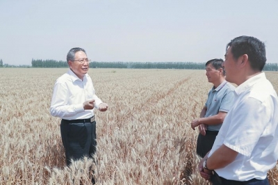 李锦斌深入长丰寿县调研指导"三夏"和粮食收购工作