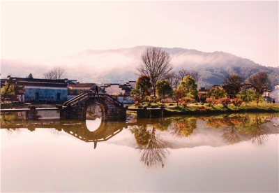 镜头｜美丽乡村入画来