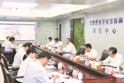 李锦斌：统筹长江淮河巢湖防汛救灾实现“三线”安全度汛