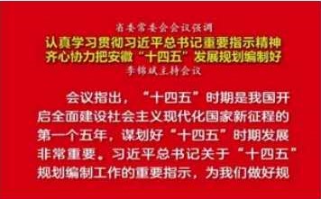 省委常委会会议：齐心协力把"十四五"发展规划编制好