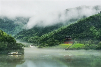 跟着镜头品诗词｜夏之繁锦