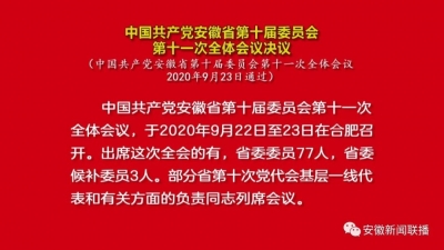 中国共产党安徽省第十届委员会第十一次全体会议决议