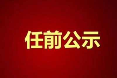 干部任前公示公告（2020年10月10日）