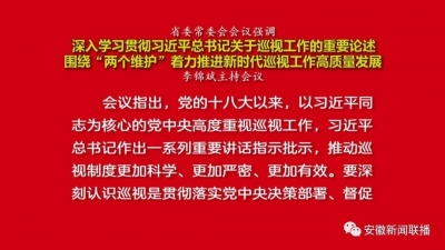 省委常委会会议强调：推进新时代巡视工作高质量发展