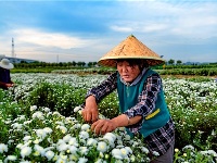 镜头 | 兴产业 助脱贫