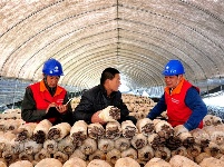 镜头 | 兴产业 助脱贫