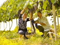 镜头 | 兴产业 助脱贫