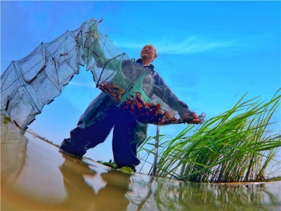 镜头 | 兴产业 助脱贫