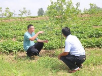 镜头 | 兴产业 助脱贫