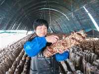 镜头 | 兴产业 助脱贫