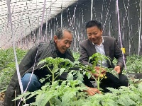 镜头 | 兴产业 助脱贫