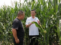 镜头 | 兴产业 助脱贫