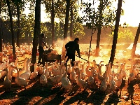 镜头 | 兴产业 助脱贫