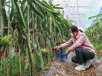 镜头 | 兴产业 助脱贫