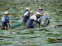 镜头 | 兴产业 助脱贫