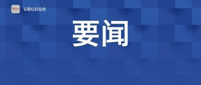 李锦斌：着力抓好问题整改做好后半篇文章 切实把“严”的主基调长期坚持下去