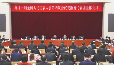 十三届全国人大四次会议安徽代表团举行全体会议