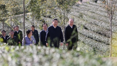 习近平在福建考察时强调  在服务和融入新发展格局上展现更大作为  奋力谱写全面建设社会主义现代化国家福建篇章