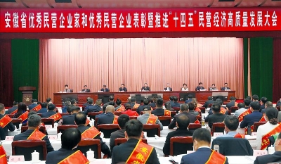 认真贯彻习近平总书记关于民营经济发展的重要论述 进一步推进“十四五”时期安徽民营经济高质量发展