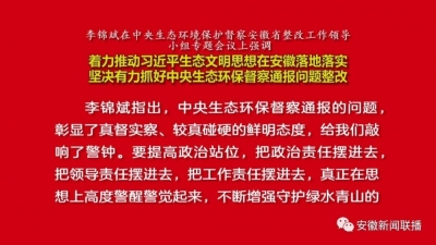 李锦斌主持召开中央生态环境保护督察安徽省整改工作领导小组专题会议