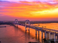 镜头 | 大美六月 绽放缤纷夏日
