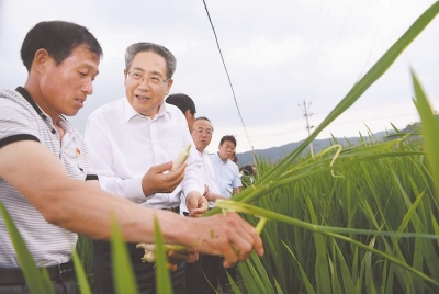 李锦斌在霍山岳西调研时强调  深入开展党史学习教育"我为群众办实事"实践活动 以学党史抓整改正作风实际成效庆祝建党100周年