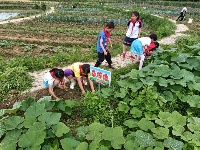 镜头 | 童心飞扬 梦想起航