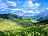 镜头 | 大美六月 绽放缤纷夏日